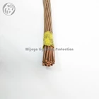 Indonesia BC Cable 70mm 1
