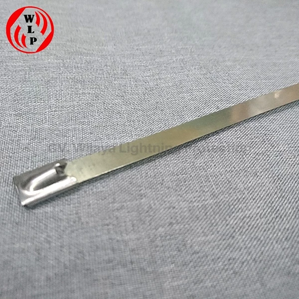 30cm Stainless Cable Ties