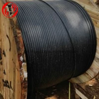 Kabel Twist Core Aluminium Ukuran 4x10 mm2