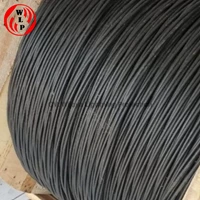 Kabel Twisted Pair Aluminium Ukuran 2x50 + 1x35 mm2