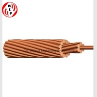 Kabel BC (Bare Copper) Untuk sistem Grounding Ukuran 6 mm