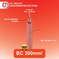 Kabel Bare Coppper (BC) Kabel Tembaga Tanpa Kulit Untuk Grounding System Ukuran 300mm